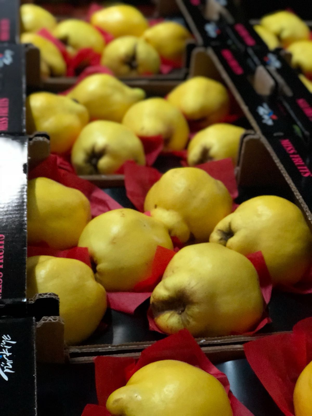 Ayva (Quince)