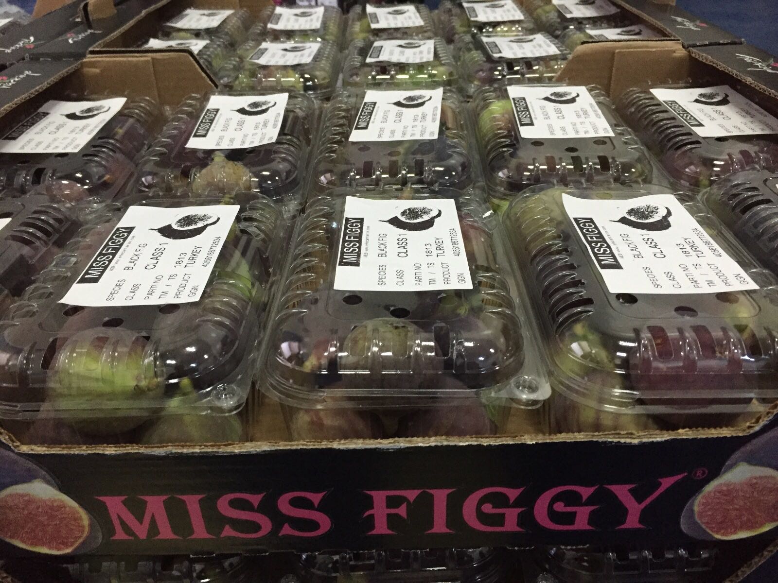 Hazır İncirler (Ready Figs)